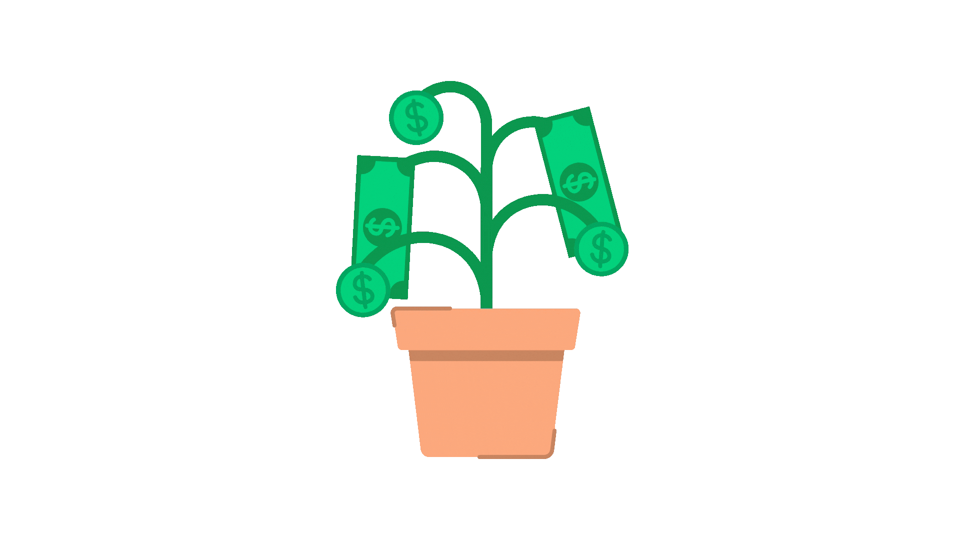 Planta de dinheiro crescendo